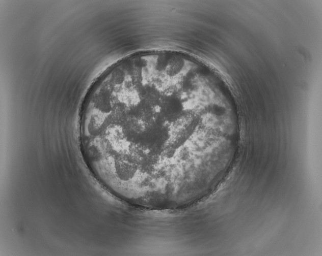 X0000113180990200910021539