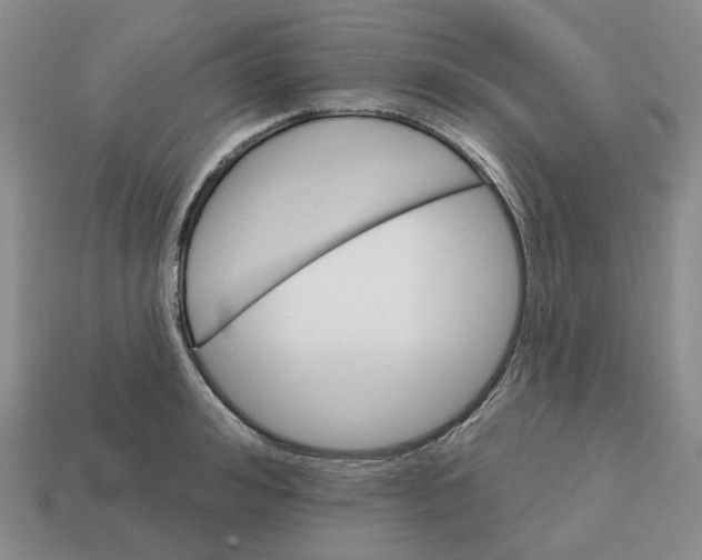 X0000113180992200910021539