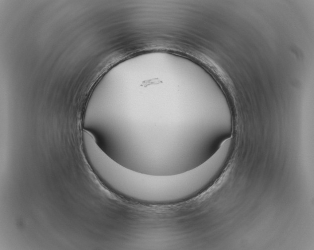 X0000113180993200910021539