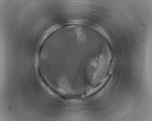 X0000113180994200910021539
