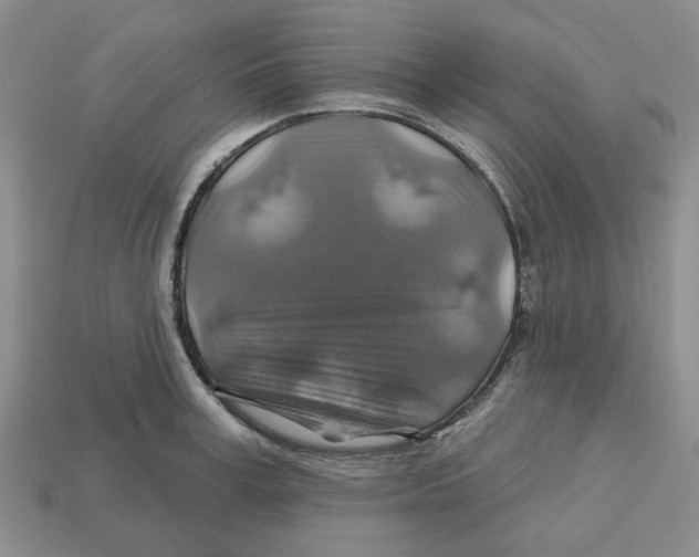X0000113180995200910021539