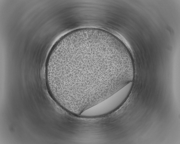 X0000113180996200910021539