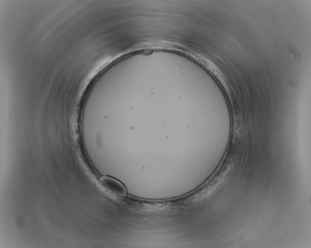 X0000113180997200910021539