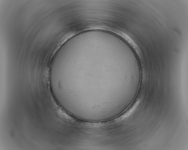X0000113181001200910021539