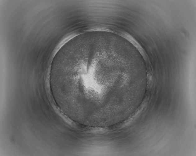 X0000113181002200910021539