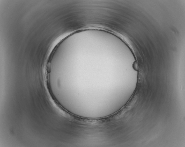 X0000113181003200910021539