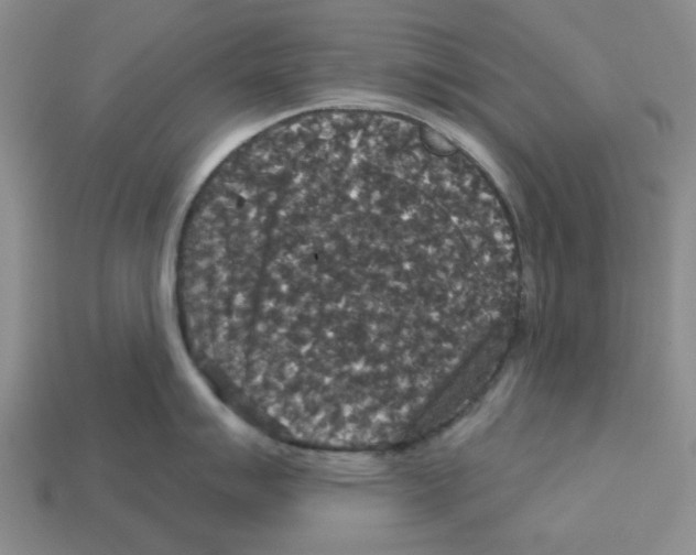 X0000113181007200910021539