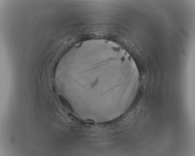 X0000113181009200910021538