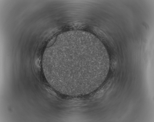 X0000113181010200910021538