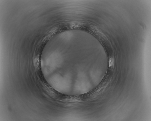 X0000113181011200910021538