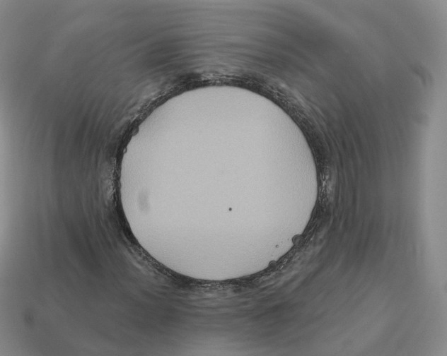 X0000113181012200910021538