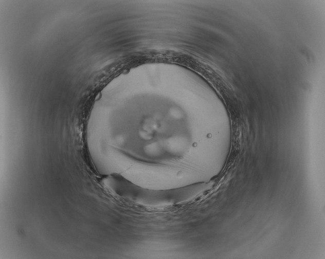 X0000113181013200910021538