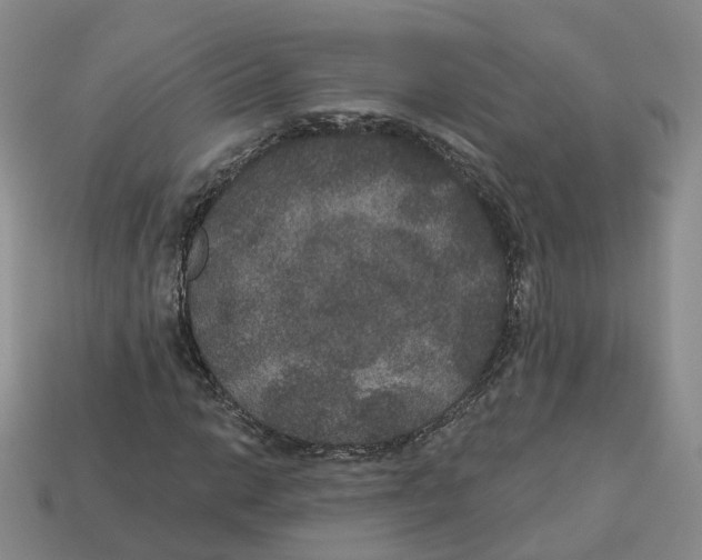 X0000113181014200910021538