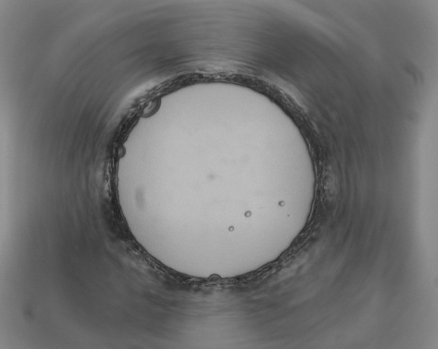 X0000113181016200910021539