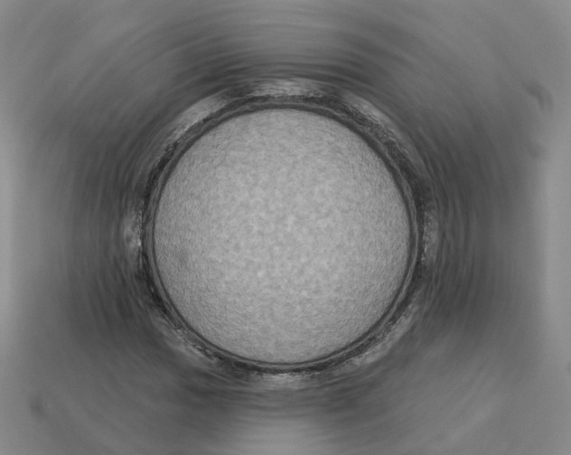 X0000113181017200910021539