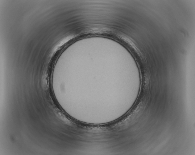 X0000113181018200910021539