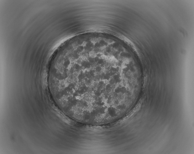 X0000113181019200910021539