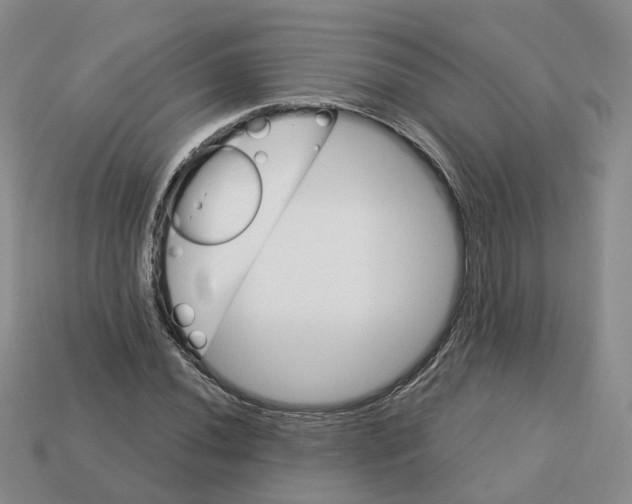 X0000113181020200910021539