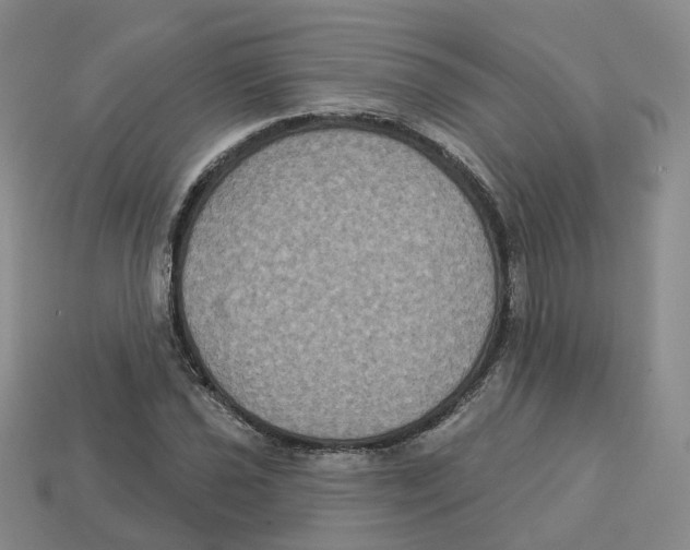 X0000113181021200910021539