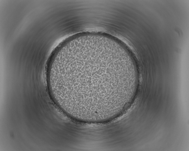X0000113181022200910021539