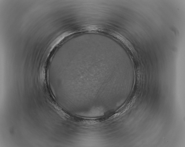 X0000113181023200910021539