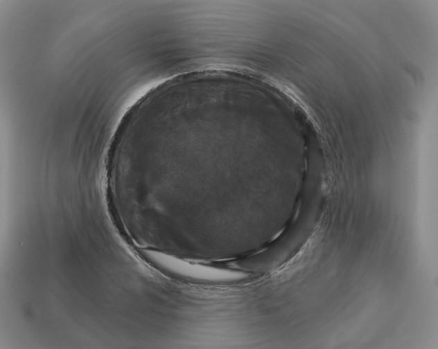 X0000113181024200910021539
