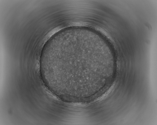 X0000113181025200910021539