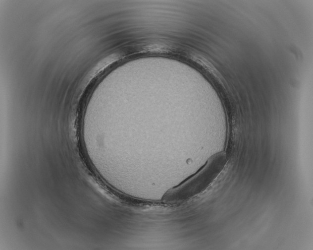X0000113181026200910021539