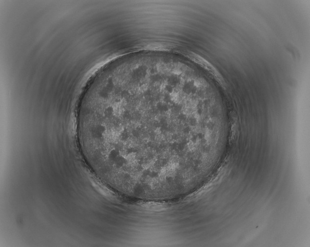 X0000113181027200910021539
