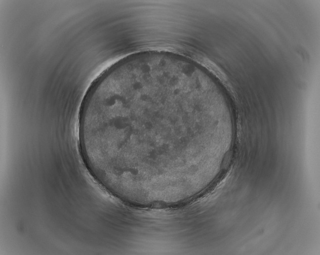 X0000113181028200910021539