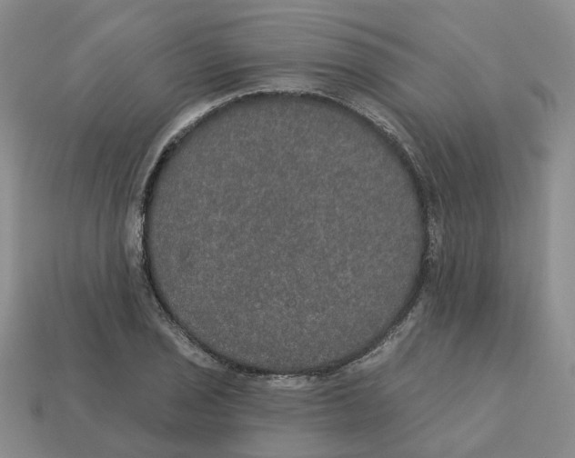 X0000113181029200910021539