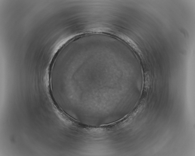 X0000113181031200910021539