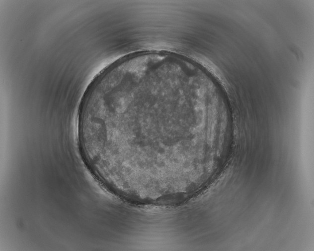 X0000113181032200910021539