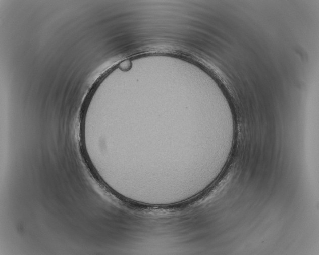 X0000113181034200910021539