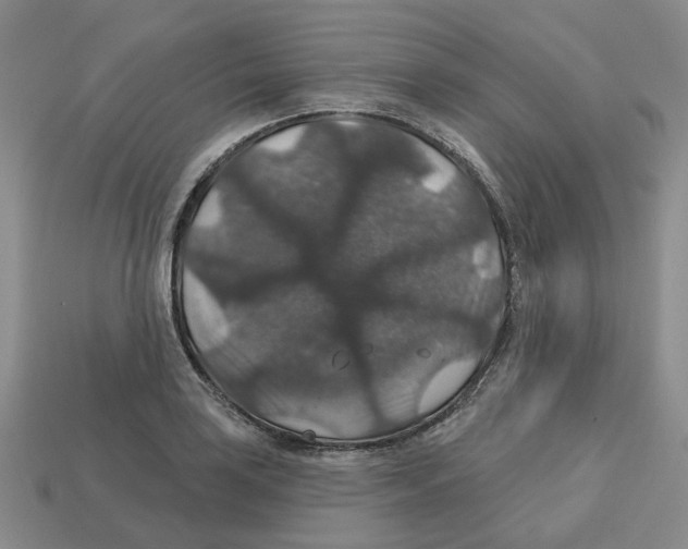 X0000113181035200910021539