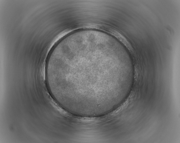 X0000113181036200910021539