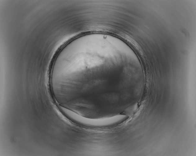 X0000113181037200910021539