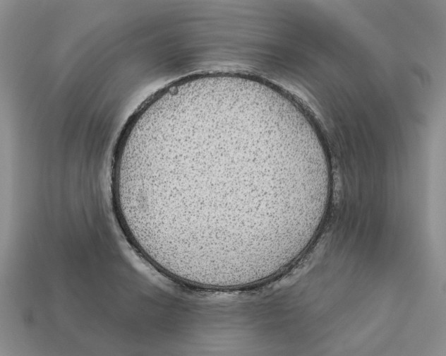 X0000113181038200910021539