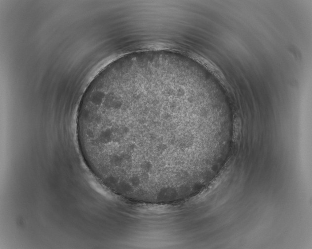 X0000113181039200910021539