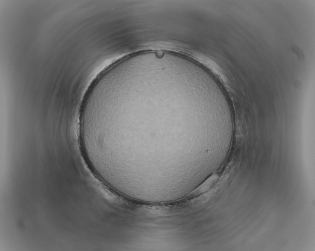 X0000113181040200910021539