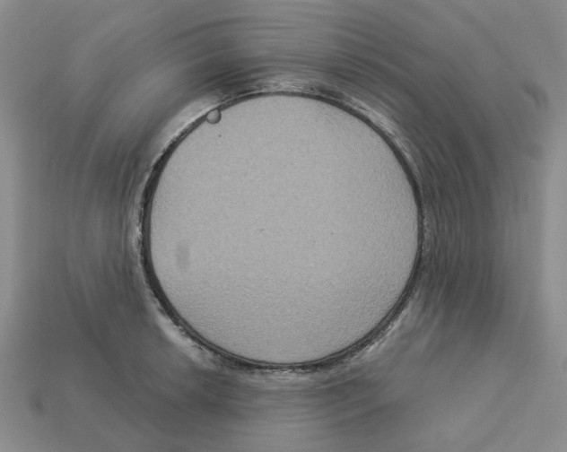 X0000113181042200910021539