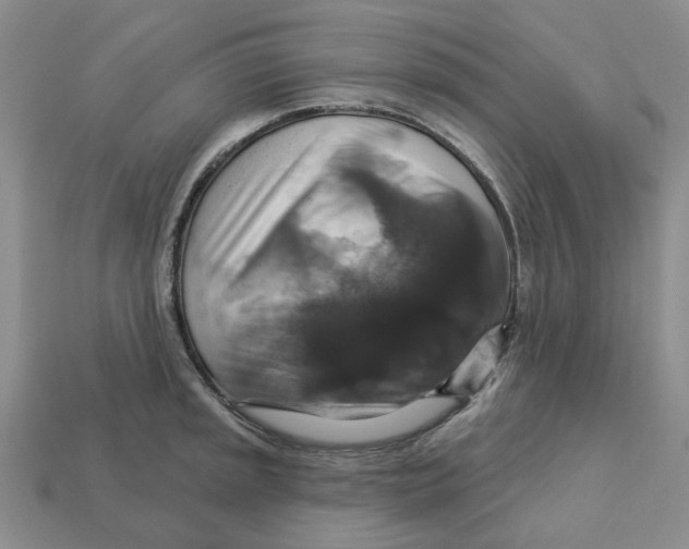 X0000113181045200910021539