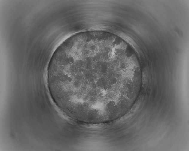 X0000113181047200910021539