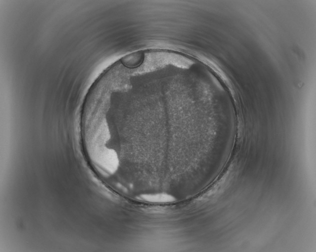 X0000113181048200910021539
