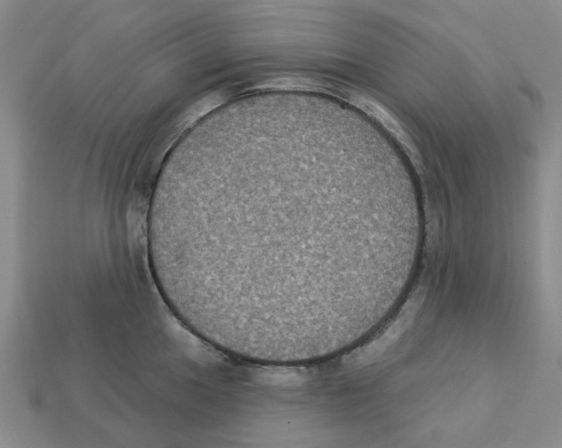X0000113181049200910021539