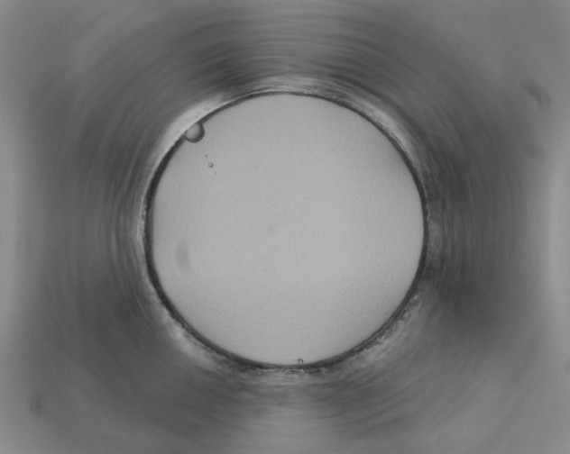X0000113181050200910021539