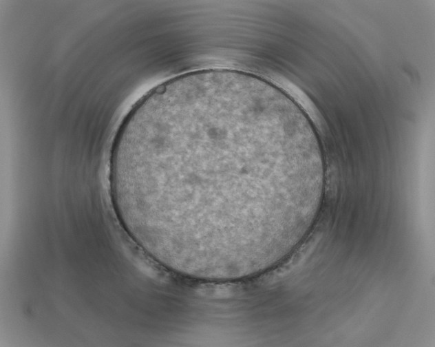 X0000113181051200910021539
