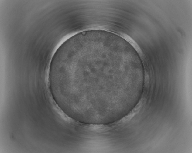 X0000113181052200910021539