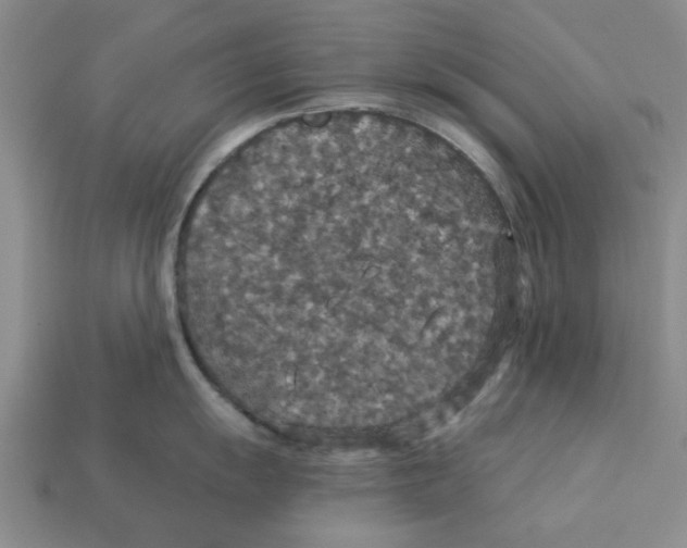 X0000113181055200910021539