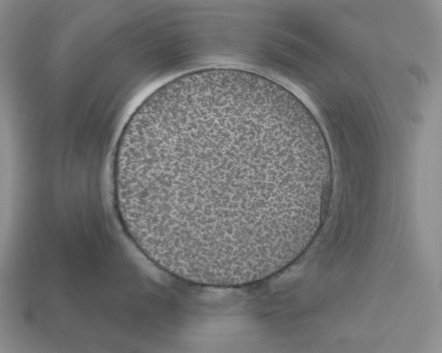 X0000113181056200910021539